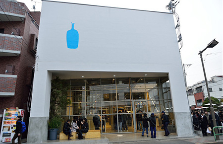 bluebottle